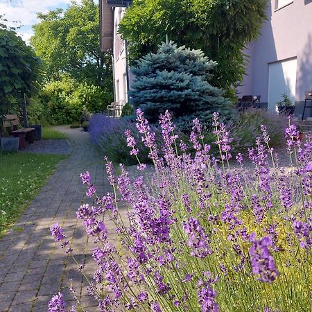 Topolej - Etno Chata Ustroń Buitenkant foto