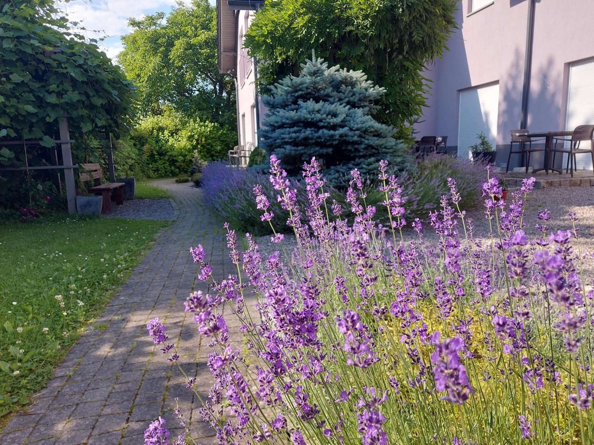 Topolej - Etno Chata Ustroń Buitenkant foto